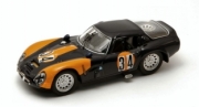 Alfa Romeo TZ2 Misano  1/43