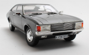 Ford . Coupé Gris 1/18